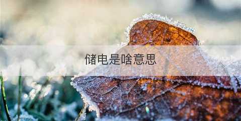 儲(chǔ)電與電瓶電力恢復(fù)儀 原理、作用與應(yīng)用